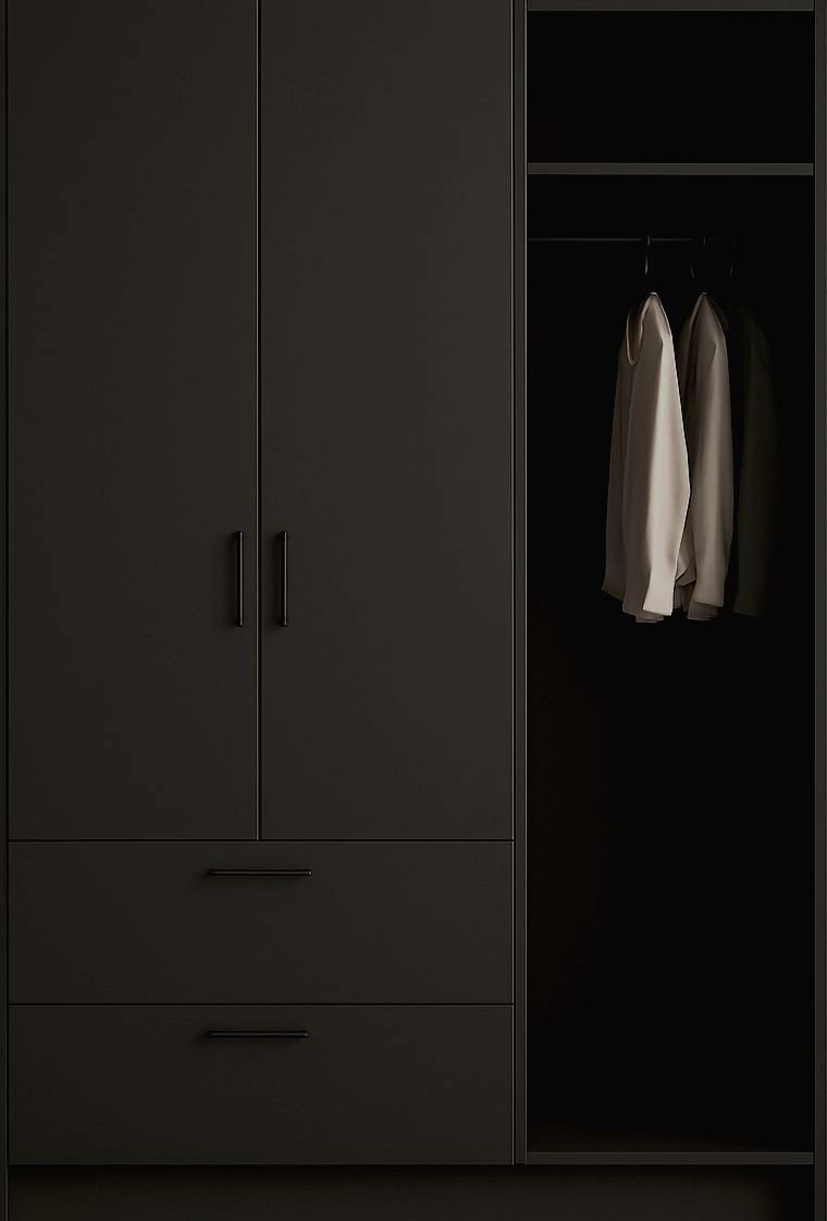 Modern Wardrobe